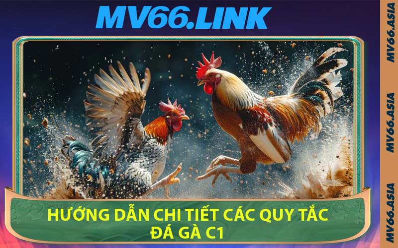 Hướng Dẫn Chi Tiết Các Quy Tắc Đá Gà C1