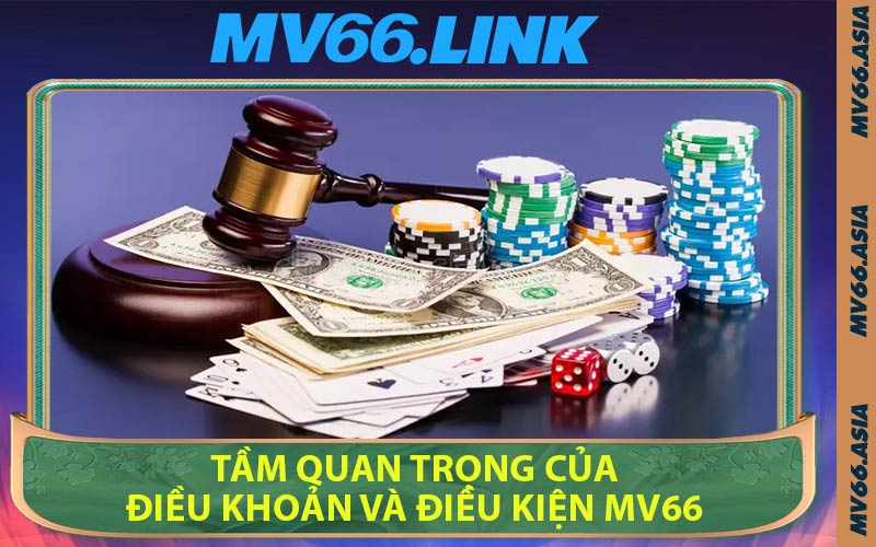 Tầm Quan Trọng Của Điều Khoản Và Điều Kiện MV66
