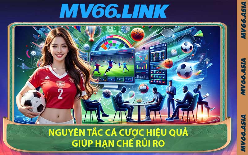 Nguyên Tắc Cá Cược Hiệu Quả Giúp Hạn Chế Rủi Ro