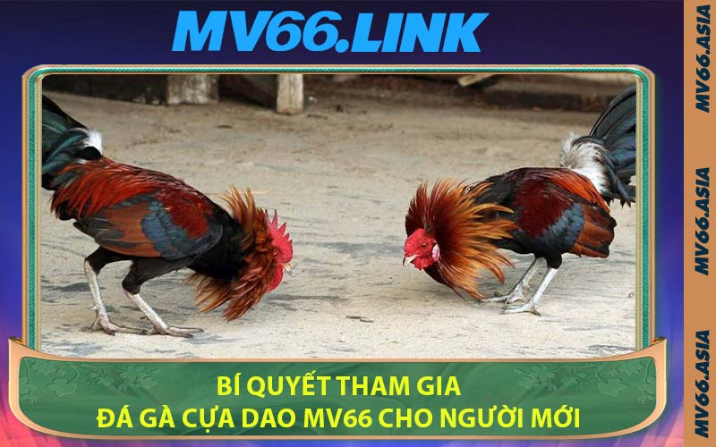 Bí Quyết Tham Gia Đá Gà Cựa Dao MV66 Cho Người Mới