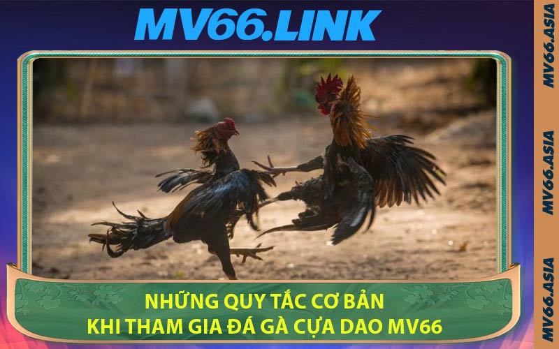 Những Quy Tắc Cơ Bản Khi Tham Gia Đá Gà Cựa Dao MV66