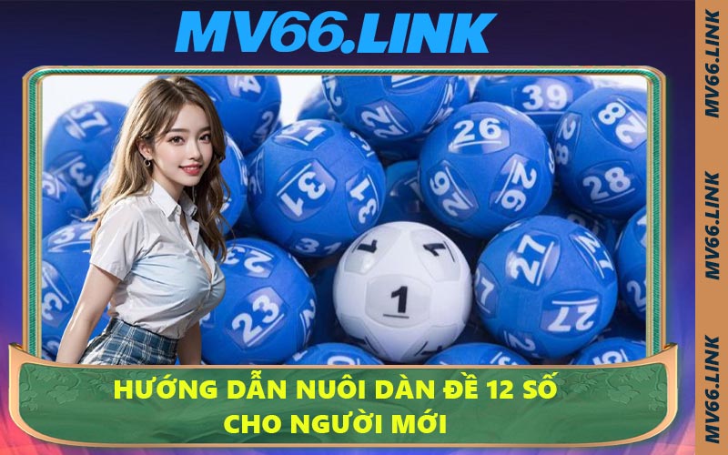 Hướng dẫn nuôi dàn đề 12 số cho người mới